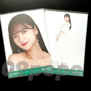 《乃木坂46》公式グッズ 生写真 2枚　金川紗耶　ヨリヒキ　セミコンプ　人は夢を二度見る 　(さざ波は戻らない