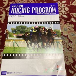 JRAレーシングプログラム2023.5.20(土)平安ステークス(GⅢ)、メイステークス、大日岳特別