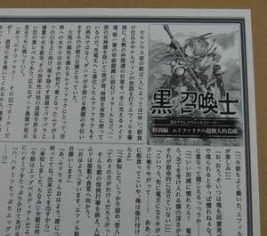 【未使用】黒の召喚士 9 真なる英雄 特約店 購入特典 書き下ろし SSペーパー 迷井豆腐 ダイエクスト 黒銀(DIGS)