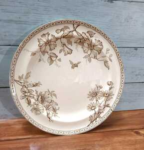 イギリスアンティーク WEDGWOOD ウェッジウッド Clematis クレマチス 蜂 プレート 24cm 皿 フラワーモチーフ 英国 希少 ブラウン系 A10