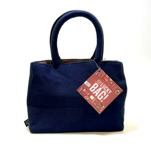 THE BODY SHOP 2013 Lucky Bag S ミニトート（未使用美品）