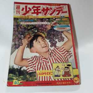 2829-11　 少年サンデー　１９６０年　昭和３５1010月２日　４０号 　　