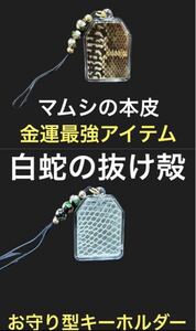 3 マムシの皮 白蛇の抜け殻 2点 開運 一攫千金 魔除け 家内安全 守り神