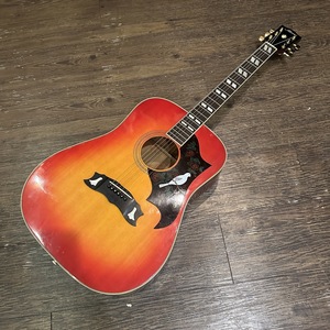 Morris MWD-03 Acoustic Guitar アコースティックギター モーリス -a444