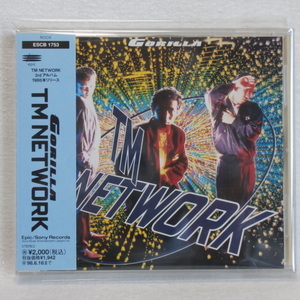 ＜美品＞　TM NETWORK　/　GORILLA　（3thアルバム）　　帯付　　　国内正規セル版　　（小室哲哉）