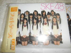 ｋｋ56　ＳＫＥ４８　フォトケース　Ｌ版８０枚収納　