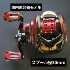 【国内未発売モデル】ダイワ 23 サラマンドラ AIR TW 8.1 右巻き