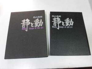●K264●性の美術●静と動●奈良林祥●アート●原田維夫林正巳山藤章二寺田松雄マッドアマノ●図録●即決