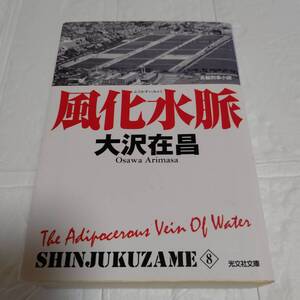 新装版 風化水脈 大沢在昌 新宿鮫8　即決 送料無料