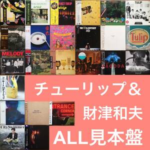 《ALL見本盤！ほとんど美盤！》チューリップ／財津和夫LPまとめて24枚セット～にほ