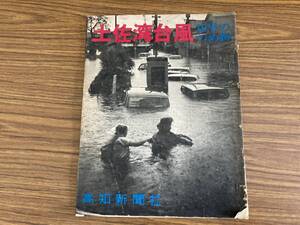 土佐湾台風10号のつめ跡　高知新聞社　　/E102