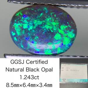 ブラックオパール 1.243ct 宝石ソーティング付き 8.5×6.4×3.4 ルース（ 裸石 ） 2963Y