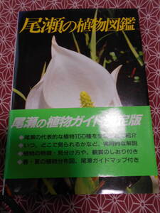 ●尾瀬の植物図鑑 　新井 幸人 里見 哲夫●この本を片手に尾瀬にいってみますか~