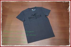 ★☆Hollister ロゴ刺繍 Tシャツ 半袖/L/ヘリンボーン/チャコールグレー/ メンズ Tシャツ アバクロ ホリスター☆★