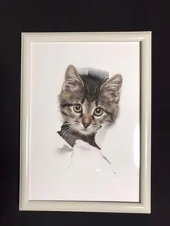 飛び出す子猫のアート、A4サイズフレーム額付