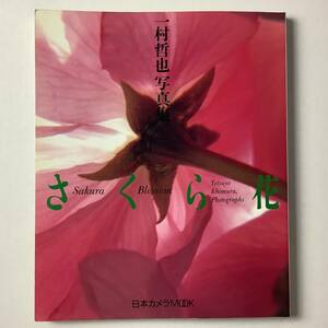 入手困難 レア古書 一村哲也 写真集 さくら花 サイン入り 署名 桜 SAKURA BLOSSOM 日本カメラMOOK 1992年