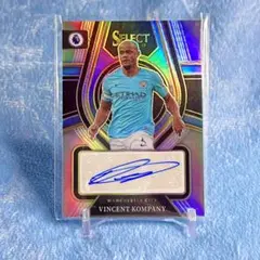 Panini Select KOMPANY コンパニ 直筆サインカード Auto