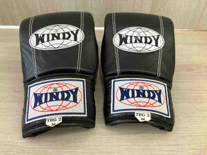 WINDY ウィンディ ボクシンググローブ TB2 Mサイズ