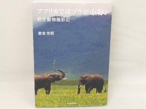 アフリカではゾウが小さい 野生動物撮影記 岩合光昭