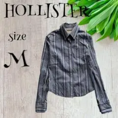 HOLLISTERホリスター　カジュアルシャツ【M】グレー系　ストライプ