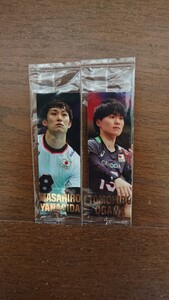 【正規品・未開封・美品】日本代表バレーボール選手 柳田将洋・小川智大 ミニステッカー 各1枚