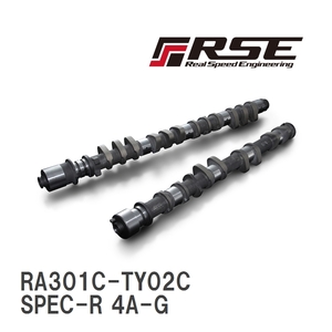 【RSE/リアルスピードエンジニアリング】 カムシャフト SPEC-R 4A-G 5バルブ IN 290-10.00 [RA301C-TY02C]