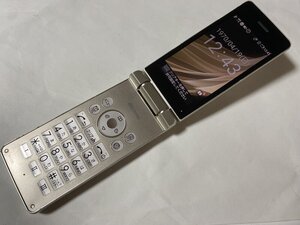 IP292 docomo SH-02L 8GB ゴールド