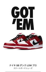 Nike SB Dunk Low Pro J-Pack Chicago