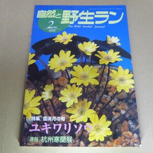 ＹＮ1-240911☆自然と野生ラン 2009年2月号　※ 雪割草 寒蘭 ※ 園芸JAPAN