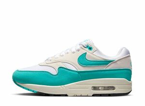 Nike WMNS Air Max 1 "Dusty Cactus" 28.5cm DZ2628-107