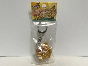 レア 名古屋 ご当地ねこ! 金鯱 フィギュア キーホルダー 未使用品 グッズ ネコ 猫 鯱 ご当地キャラ キャラクター