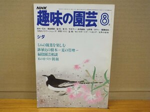 NHK 趣味の園芸 昭和56年8月 シダ ミニの観葉を楽しむ