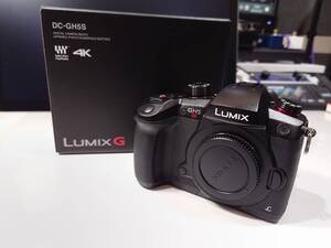 【元箱有・付属品多数】Panasonic DC-GH5S LUMIX ボディ パナソニック ルミックス