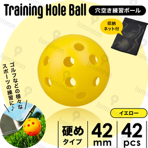 ゴルフ ボール 用品 トレーニング 穴あき 飛ばない セット グッズ 練習 器具 安い ギフト クラブ プレゼント 景品 人気 素振り g281h3 1