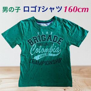 (108) 半袖　Tシャツ　ロゴ　緑　グリーン　160cm