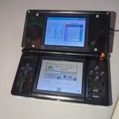 【美品】ニンテンドーDS Lite クリアブラック 本体 充電器付