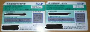 ANA株主優待 全日空 片道1区間1名様 基準運賃50%割引券 2024/12/1~2025/11/30 2枚組