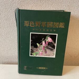 【原色野草観察検索図鑑】保育社 昭和58年 長田武正