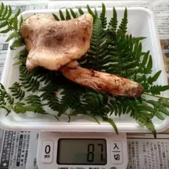 長野県産　松茸　87g ①