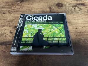 槇原敬之CD「Cicada」初回盤CDS付●