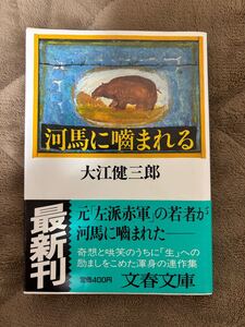 河馬に噛まれる　大江健三郎　1989年初版　文春文庫　文藝春秋　検）三島由紀夫安部公房川端康成谷崎潤一郎飼育万延元年のフットボール