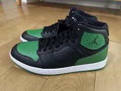 NIKE JORDAN ACCESS ジョーダン アクセス green