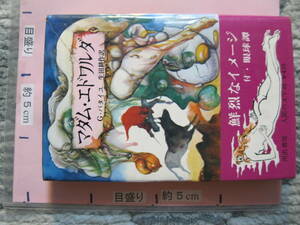 マダム・エドワルダ 付・眼球譚 G・バタイユ 生田耕作/訳 人間の文学25 1967年 初版 河出書房 (ハードカバー/228頁)