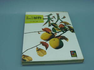 ＊カラーブックス３０４＊俳句歳時記 植物 秋＊山口誓子 編