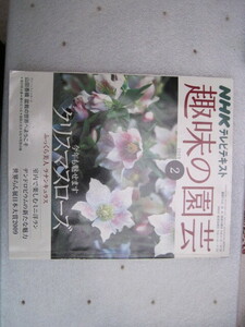 【雑誌】『NHKテレビテキスト 趣味の園芸２』／クリスマスローズ・ミニ洋ラン・世界らん展・ラナンキュラス／2009年2月1日発行