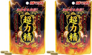 ユウキ製薬 スタンドパック 超力精 40球　２袋セット