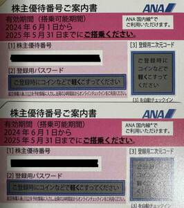 ANA 全日空 株主優待券 2枚 搭乗期限2025年5月31日