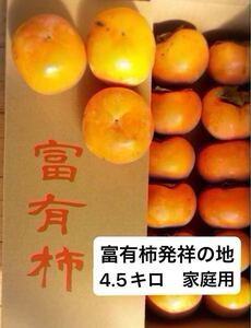 富有柿発祥の地より直送 岐阜県産　富有柿　4.5キロ　ご家庭用