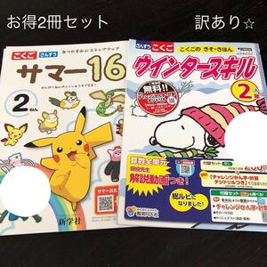 3060 ウインタースキル サマー16 2年 国語 算数 小学 ドリル 問題集 テスト用紙 教材 テキスト 解答 家庭学習 計算 漢字 ワーク 勉強 