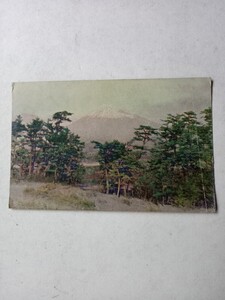 戦前絵葉書ポストカード８２５　富士山カラー写真　三保の松原　辻本写真製版所三色版